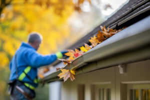 Gutter Cleaning
